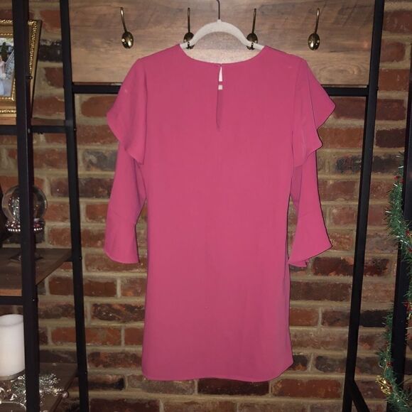Express Pink Ruffle Long Sleeve Dress - Sz XS - Picture 12 of 15